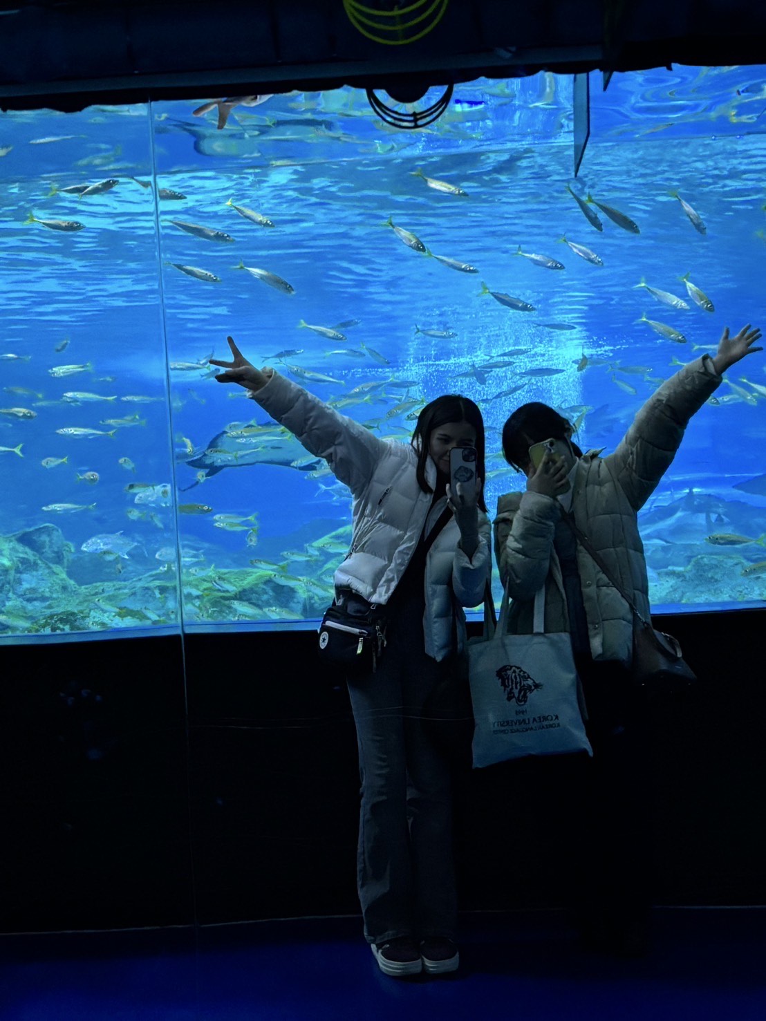 友人と江南の水族館へ行った時