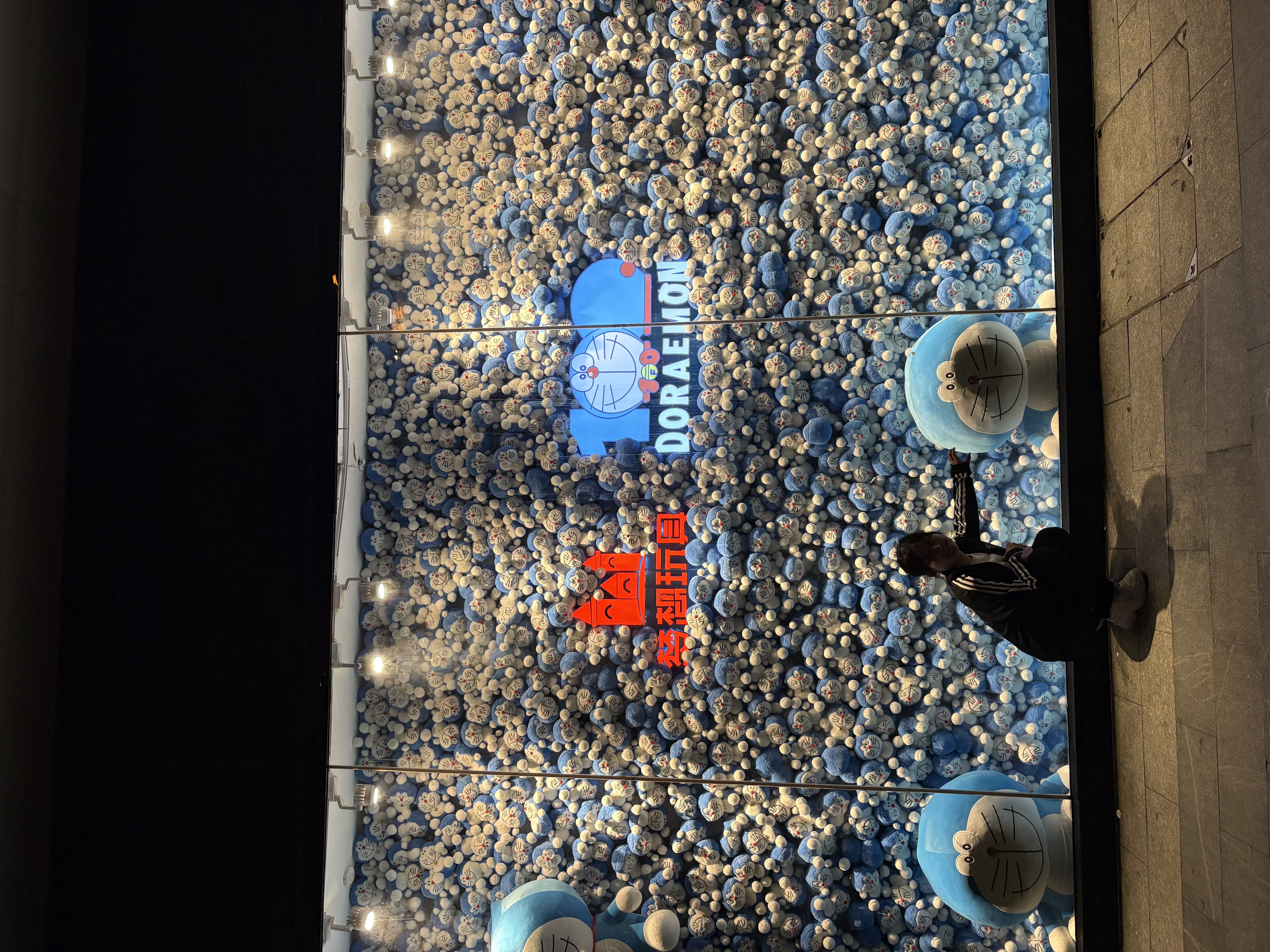 プロフィール (1)