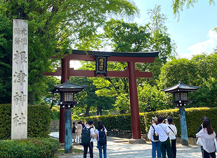 gendai_fr2022_yanesen01
