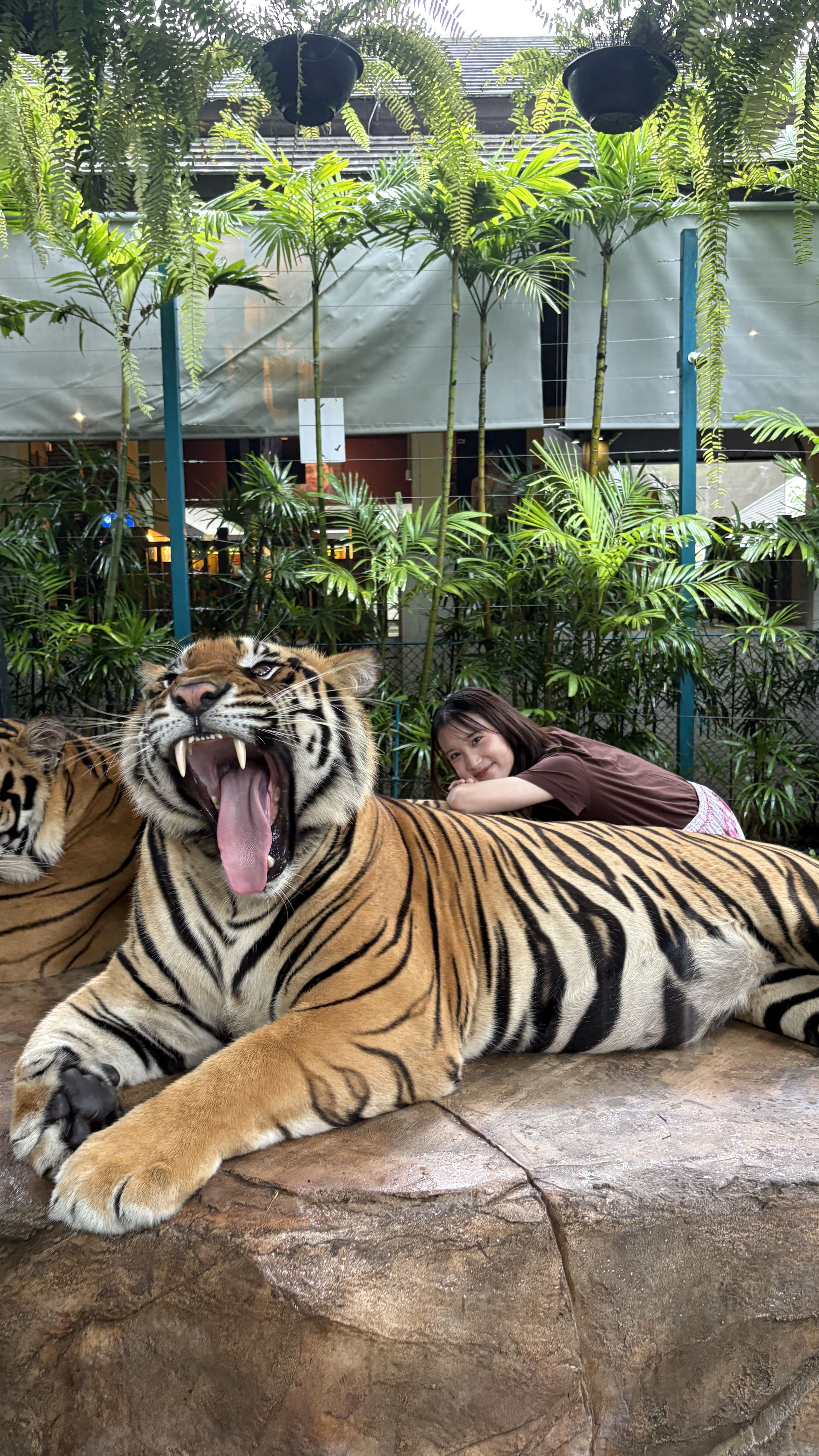 タイガーキングダム