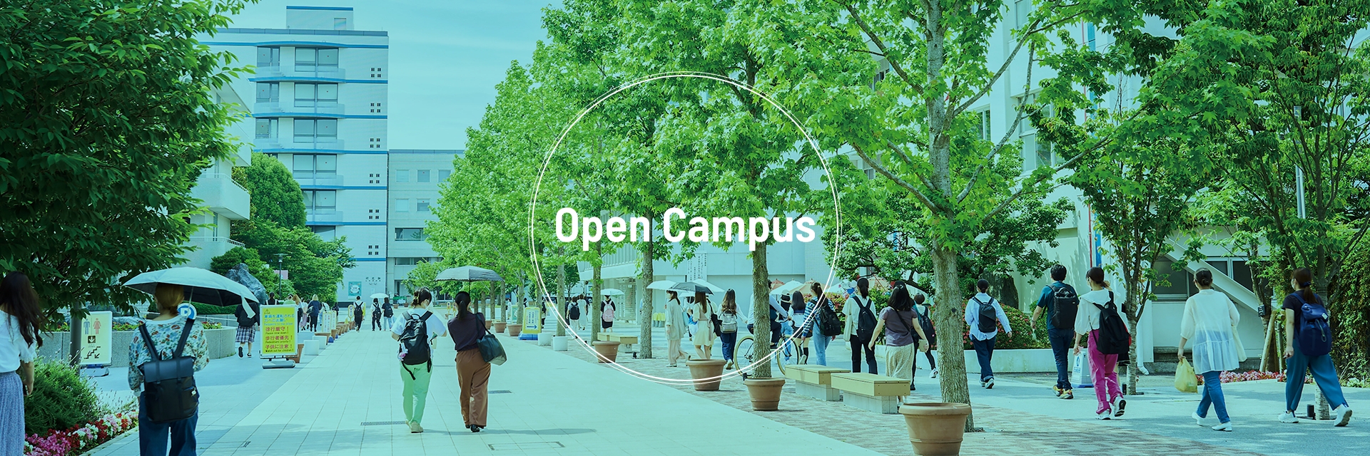 Open Campus