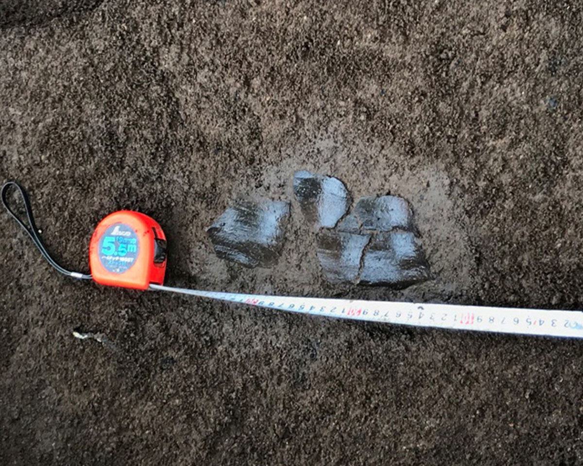 弥生時代の土器片を自分で取り出した!中屋敷遺跡発掘調査04