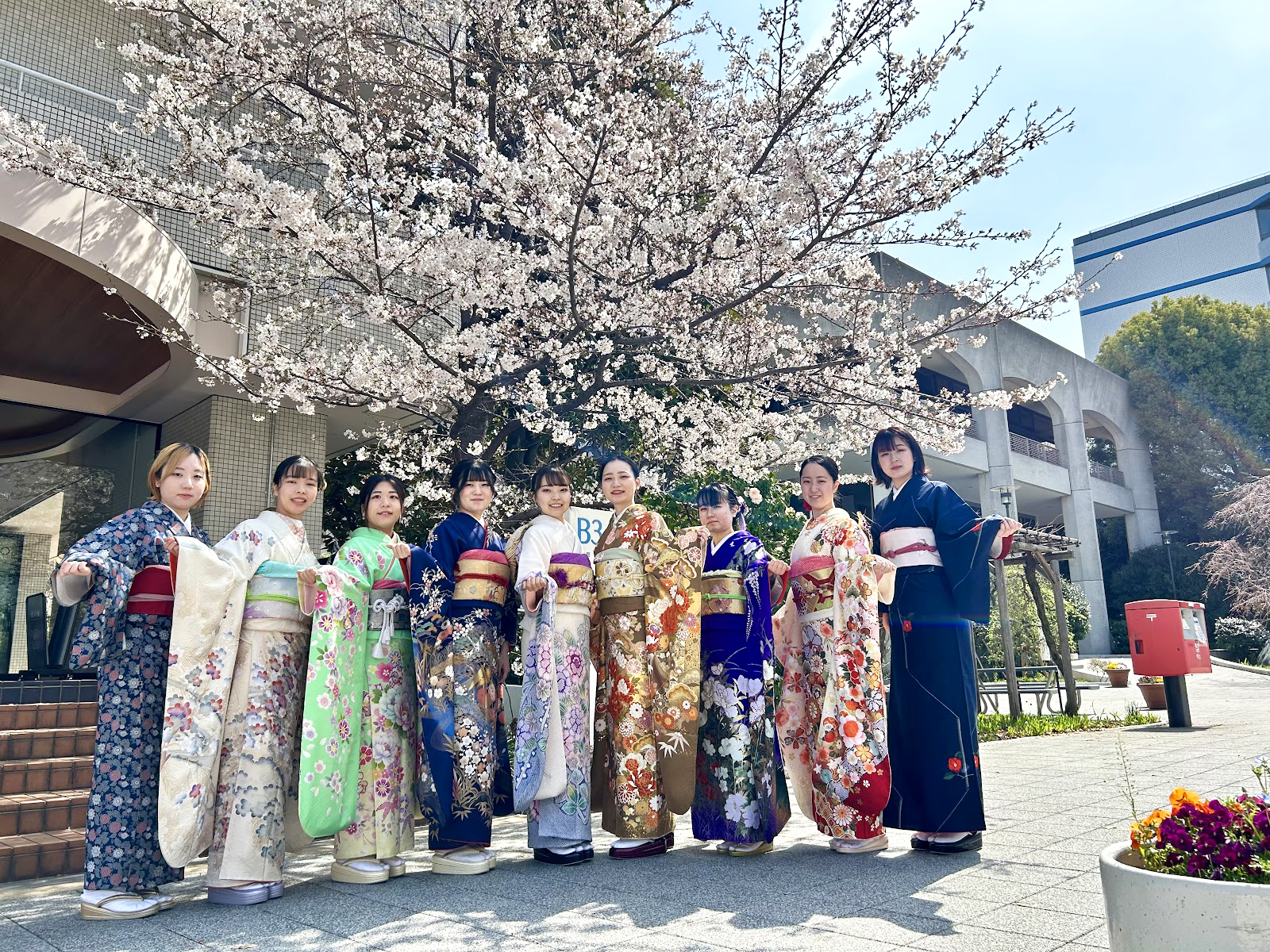 着付け葵