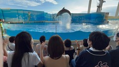 日中韓プログラム日本ラウンド⑬
