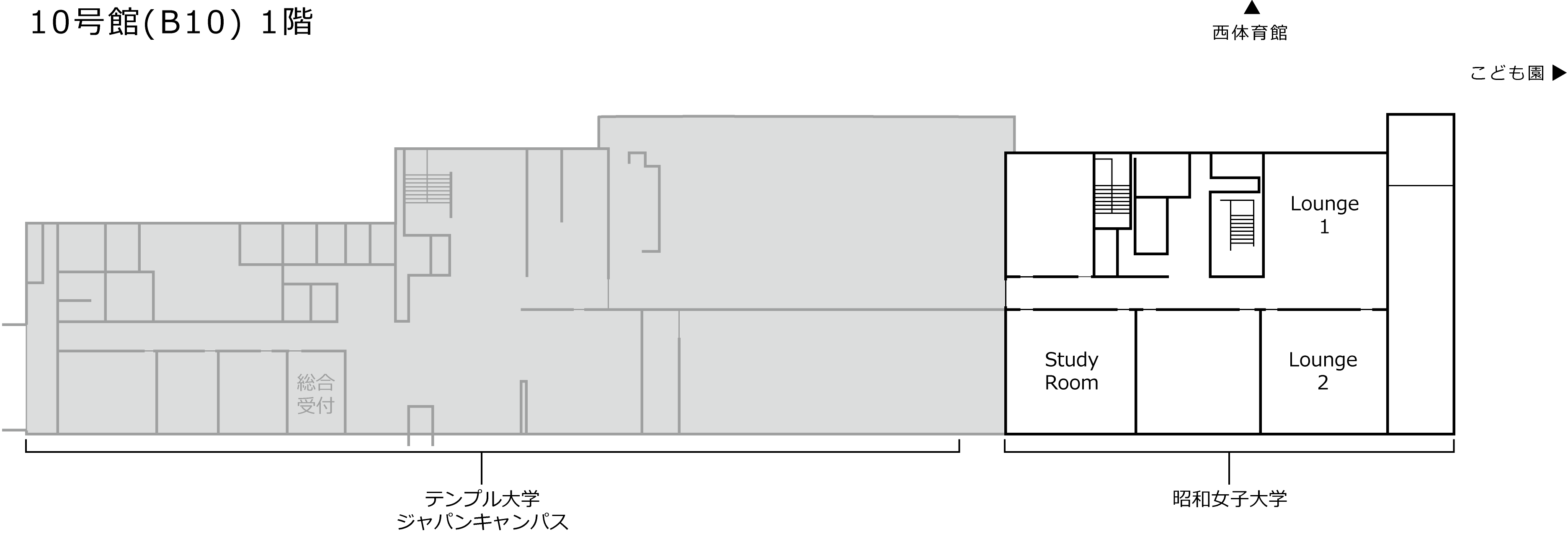 B10F1
