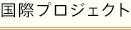 国際プロジェクト
